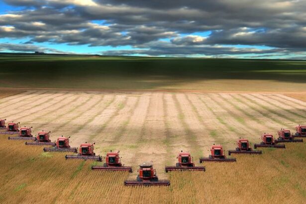 afir a platit fonduri nerambursabile in valoare de 1527 milioane de euro in perioada august septembrie 2025 pentru investitii in agricultura si dezvoltare rurala 68ee5fa669301