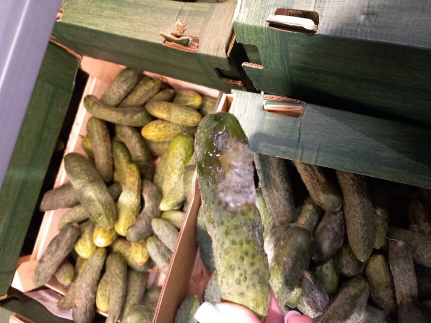 ANPC a desfășurat o amplă acțiune de verificare a peste 1.700 de firme, aplicând 1.185 de sancțiuni 1 anpc a controlat peste 1 700 de companii saptamana aceasta si a dat 1 185 de amenzi 68e9336d5ab45