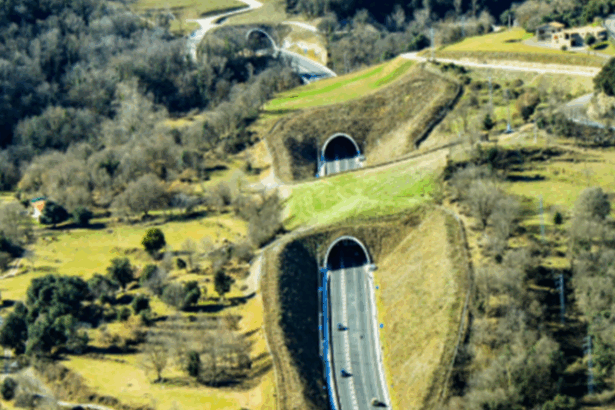 autostrada brasov fagaras va avea 50 km 46 de poduri doua tuneluri cutcover si un ecoduct investitia sare de 10 miliarde de lei document mediu 68e6bcf5240e2