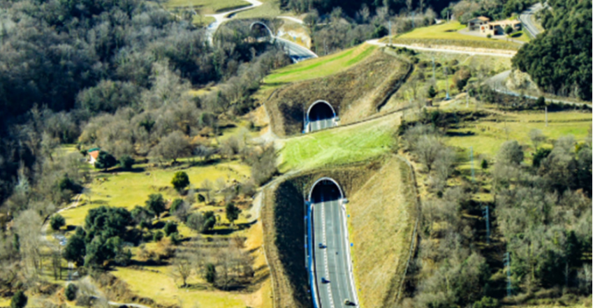 Autostrada Brașov – Făgăraș: 50 km de inovație, cu 46 de poduri, două tuneluri și un ecoduct, o investiție de peste 10 miliarde de lei – detalii esențiale 1 autostrada brasov fagaras va avea 50 km 46 de poduri doua tuneluri cutcover si un ecoduct investitia sare de 10 miliarde de lei document mediu 68e6bcf5240e2