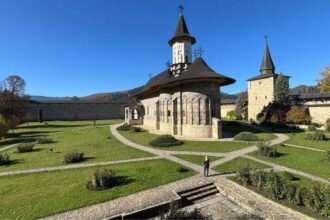 bucovina plai cu flori vazuta din forest coaster 69006d95e36c0