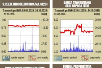 bvb actiunile hidroelectrica pe prima treapta in topul rulajului 68fe99ff3f745