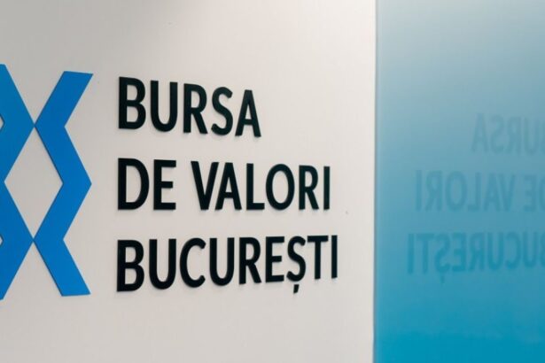 cfa bursa are nevoie de companii de stat statul ar incasa din vanzarea unor pachete minoritare mai mult decat din cresterea tva 68df3c66346a2