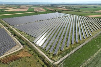 electrica finalizeaza si pune in functiune parcul fotovoltaic satu mare 2 in urma unei investitii de peste 20 de milioane de euro 68f39375e49d9