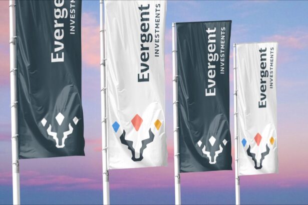 evergent investments anunta ca a incasat in totalitate creanta avuta de vastex s a companie aflata in faliment in valoare de aproape 9 milioane de lei 69039d2f58d08