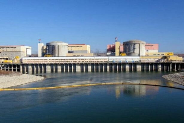 nuclearelectrica va exporta combustibil nuclear in argentina o premiera pentru romania 68ed1c3523746