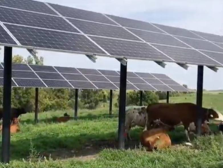 Primăria Turceni se îndreaptă spre un împrumut de 380 de milioane de euro de la BEI pentru dezvoltarea unor proiecte solare ample pe zeci de hectare de teren 1 primaria turceni ia un imprumut de 380 de milioane de euro de la bei pentru construirea de proiecte fotovoltaice pe sute de hectare de teren 68eea0ab99004