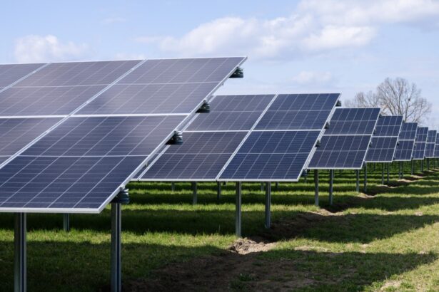 primul parc fotovotaic al timisoarei finantat cu peste 32 de milioane de lei din fondul de modernizare gestionat de ministerul energiei 68ff41f16bcb9