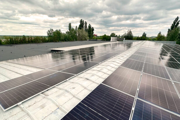 procesatorul de fructe de padure abund berry a instalat o centrala fotovoltaica de 512 kwp cu stocare de 400 kwh constructorul greenvolt next 68ff4dc31b3bd