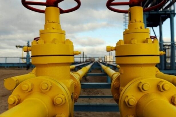 romania s ar ralia si ea deciziei ue de a interzice total importul de gaz rusesc daca acest lucru ar fi posibil in realitate 68f73f4a864c9