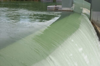 video bogdan ivan avem blocaje la proiectele de hidrocentrale din cauza gandacilor si pestilor sunt aberatii voi merge in csat 68de764f926c1