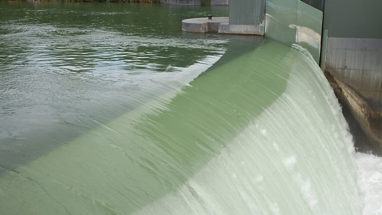 video bogdan ivan avem blocaje la proiectele de hidrocentrale din cauza gandacilor si pestilor sunt aberatii voi merge in csat 68de764f926c1