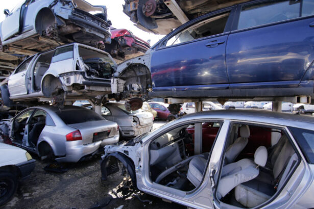 video inselatorie cu vouchere rabla desi ecotichetele sunt nominale unii romani incearca sa le vanda pe internet 68e9f6420b551