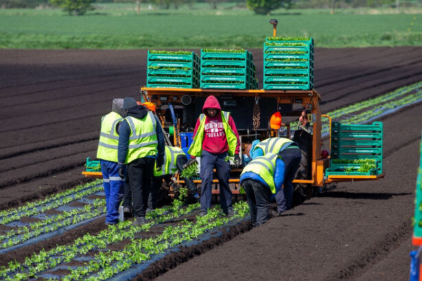 acord provizoriu in ue pentru sectorul agricol fermierii ar putea economisi pana la 16 miliarde de euro pe an 69134052d4205