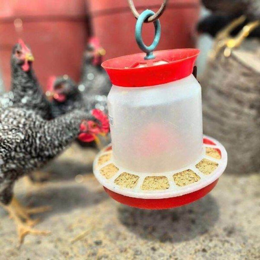 Agroland înregistrează o expansiune impresionantă de 65% a profitului net în primele nouă luni 1 agroland raporteaza o crestere de 65 a profitului net la noua luni 690e153fb3e93