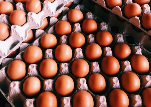 azi se deschide o noua ferma avicola in bacau care ar putea produce 50 de milioane de oua an 692540206c586