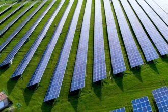 berd acorda o finantare de 62 milioane de euro pentru trei noi centrale solare in sud estul romaniei 6928935d3f799