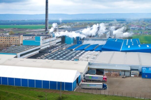 cerere de insolventa pentru vrancart din care fratii paval detin 17 compania numeste demersul nefondat si anunta ca va fi respins rapid 691b663d90acb