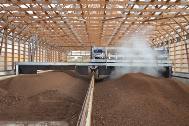 dn agrar a inregistrat afaceri de 158 de milioane de lei in primele noua luni ale anului pentru grupul agroalimentar si a dublat profitul 691c22a847829