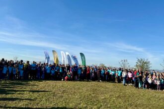 electrica furnizare a plantat o padure urbana in brasov alaturi de voluntari de la asociatia act for tomorrow 6906240b94fd2