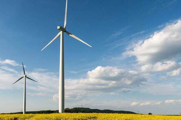 facilitati noi pentru proiecte de energie verde de la simplificarea autorizarii la extinderea suprafatelor de teren clasificarea stocarii si regim special pentru delta dunarii avocati 6919a1e5bab86