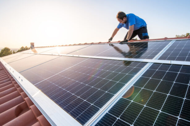 nicusor dan a sesizat ccr pe legea prosumatorilor cum sunt afectati cei care si au montat panouri solare 6905951a8bbb7