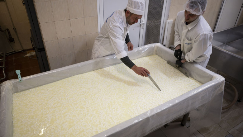 Peste 7.300 de deținuți activează în România. Ce cerințe trebuie să respecte și cum sunt distribuiți banii 1 peste 7 300 de persoane private de libertate lucreaza in romania ce conditii trebuie sa indeplineasca detinutii si cum se impart banii 6925c10bc2a53