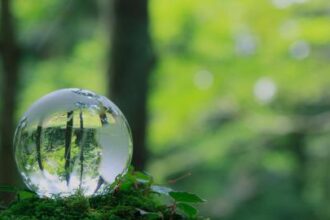 tnfd releases guidance on state of nature data collection 690dddb6c3cef