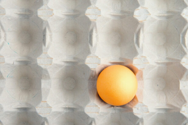 video de ce a aparut o criza de oua in magazinele din romania are legatura cu conditiile in care traiesc gainile din ferme 692c957b737b6