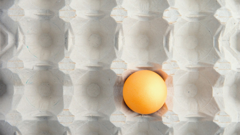 Criza ouălor în magazinele din România: legătura surprinzătoare cu traiul găinilor din ferme 1 video de ce a aparut o criza de oua in magazinele din romania are legatura cu conditiile in care traiesc gainile din ferme 692c957b737b6