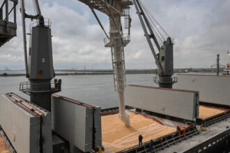 al dahra holding va pleca din comertul cu cereale din romania in 2026 cum a ajuns piata intr o lipsa totala de control 693af5650fbe1