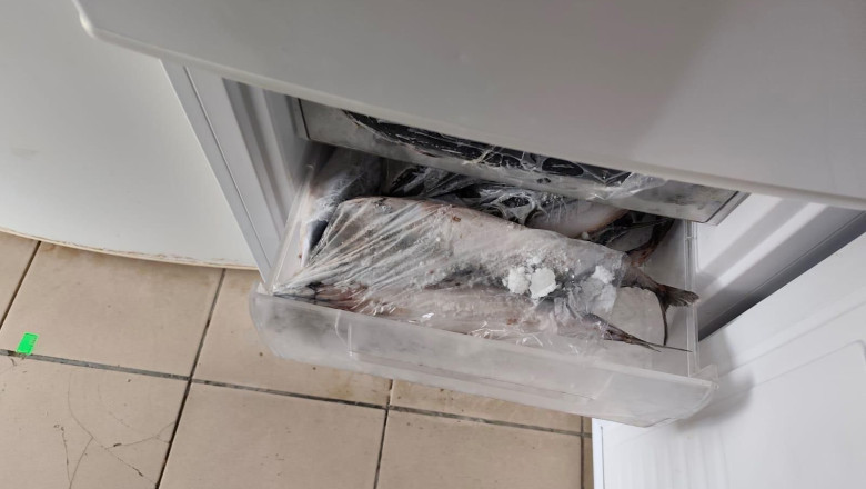 ANPC a efectuat verificări în destinațiile turistice și a aplicat sancțiuni de 1,6 milioane de lei. Care sunt abaterile constatate 1 anpc a facut controale in zone turistice si a dat amenzi de 16 milioane de lei ce nereguli au fost descoperite 6949862c72f5b