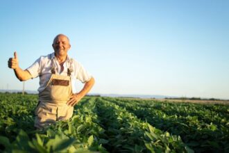 cec bank faciliteaza refinantarea creditelor acordate prin componentele agro si rural printr o noua conventie oferita clientilor 6939292d19ace