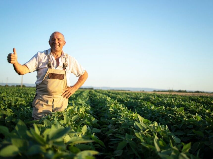 CEC Bank simplifică refinanțarea creditelor agro și rurale cu o nouă ofertă pentru clienți 1 cec bank faciliteaza refinantarea creditelor acordate prin componentele agro si rural printr o noua conventie oferita clientilor 6939292d19ace