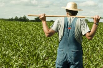 imm romania doar 30 dintre agricultori au reusit in 2025 sa obtina finantare europeana sau nationala 69332d018d7e4