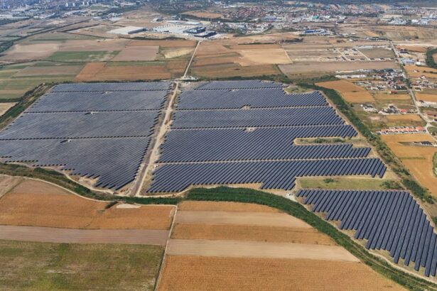 isarelienii de la econergy pun o baterie de 68 mw in parcul fotovoltaic finalizat recent la oradea credit de 40 mil euro de la unicredit 6949263c75ea7