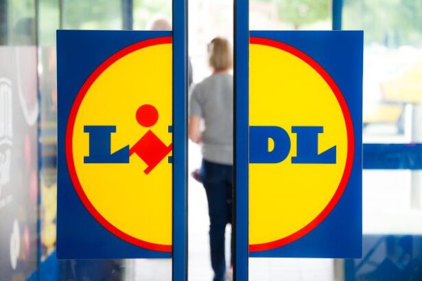 lidl deschide doua magazine in romania maine si ajunge la 380 de unitati la noi in tara 693962103cc5b