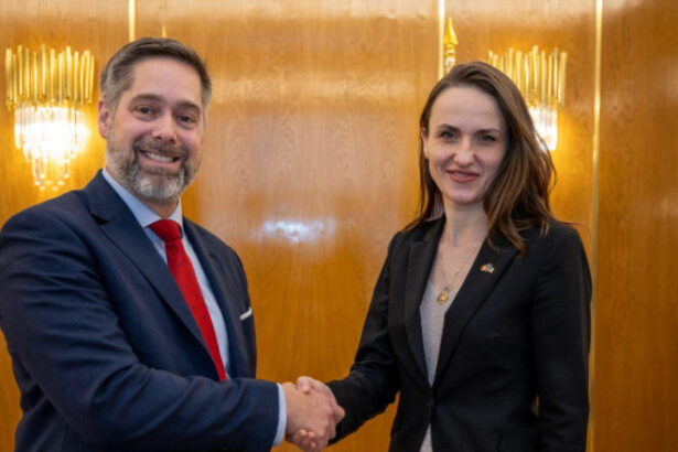 mae sua au recunoscut rolul romaniei ca partener cheie pentru asigurarea securitatii energetice 6941be2875cab