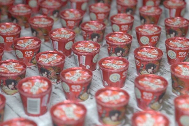 magnum fosta divizie de inghetata a gigantului unilever debuteaza la bursele din amsterdam londra si new york 6936f29a8e802