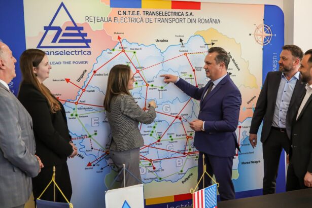 niciun vinovat pentru situatia de la transelectrica unde sefii au fost concediati ilegal iar apoi le au fost platite despagubiri 69382a24d670a