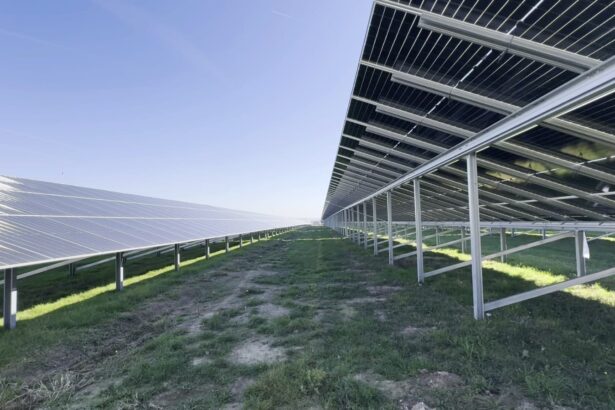 parcurile fotovoltaice au devenit a doua sursa de energie electrica a romaniei in termeni de putere instalata 6930414f81b54