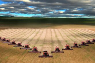 romania are nevoie de mecanisme care sa premieze calitatea nu doar pretul mic spune directorul holdingului familia safir 693fb3f5c1576