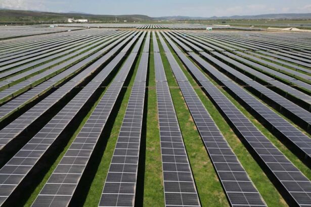 romanii de la waldevar au dat lovitura construiesc langa bucuresti un parc fotovoltaic mare pentru cei mai bogati turci cel mai mare contract de pana acum 694a44134c88f