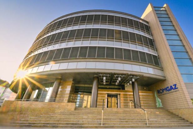 romgaz a adus la bvb a doua sa emisiune de obligatiuni bani pentriu extractia gazelor din marea neagra 69491802a21c1