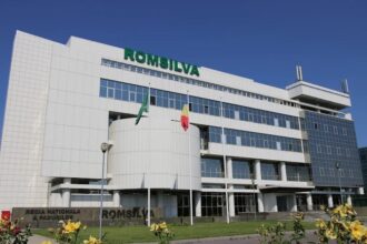 romsilva anunta venituri de aproape 7 milioane de euro in primele 11 luni ale anului din valorificarea produselor nelemnoase vanatoare si salmonicultura 694fc0c07bff4