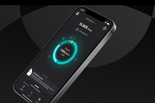 salt bank ar putea ajunge la un milion de clienti in primavara anului viitor 69397b17df5cf