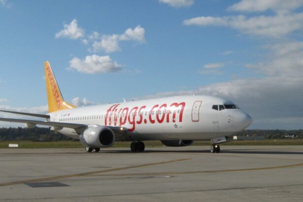 tranzactie turcii de la pegasus preiau smartwings si czech airlines pentru 154 milioane de euro 6936c3b8c8b4c