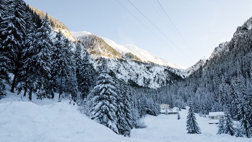 36 de comunități din Alba rămân în beznă din cauza furtunii de zăpadă 1 36 de localitati din alba in continuare fara energie electrica in urma ninsorilor 695a1cef83196