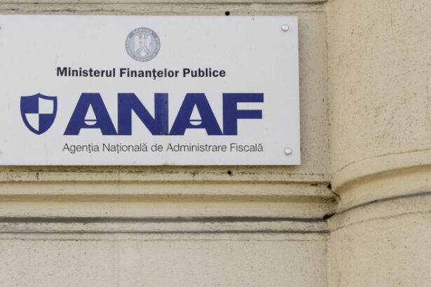 anaf pregateste modificarea formularului de inscriere a persoanelor fizice in registrul ro e factura dupa ordonanta trenulet 696e0b8f6f61e