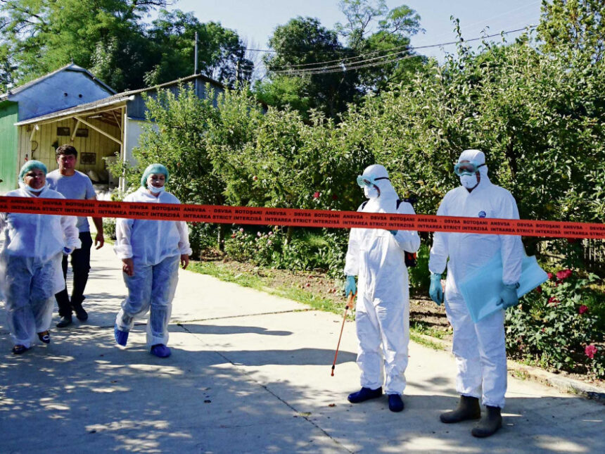 Impactul devastator al pestei porcine africane în România: dublarea focarelor în rândul porcilor domestici 1 cat de tare a lovit anul trecut pesta porcina africana romania se confrunta cu o dublare a numaruui de focare la porcii domestici 6966aacd90f2d